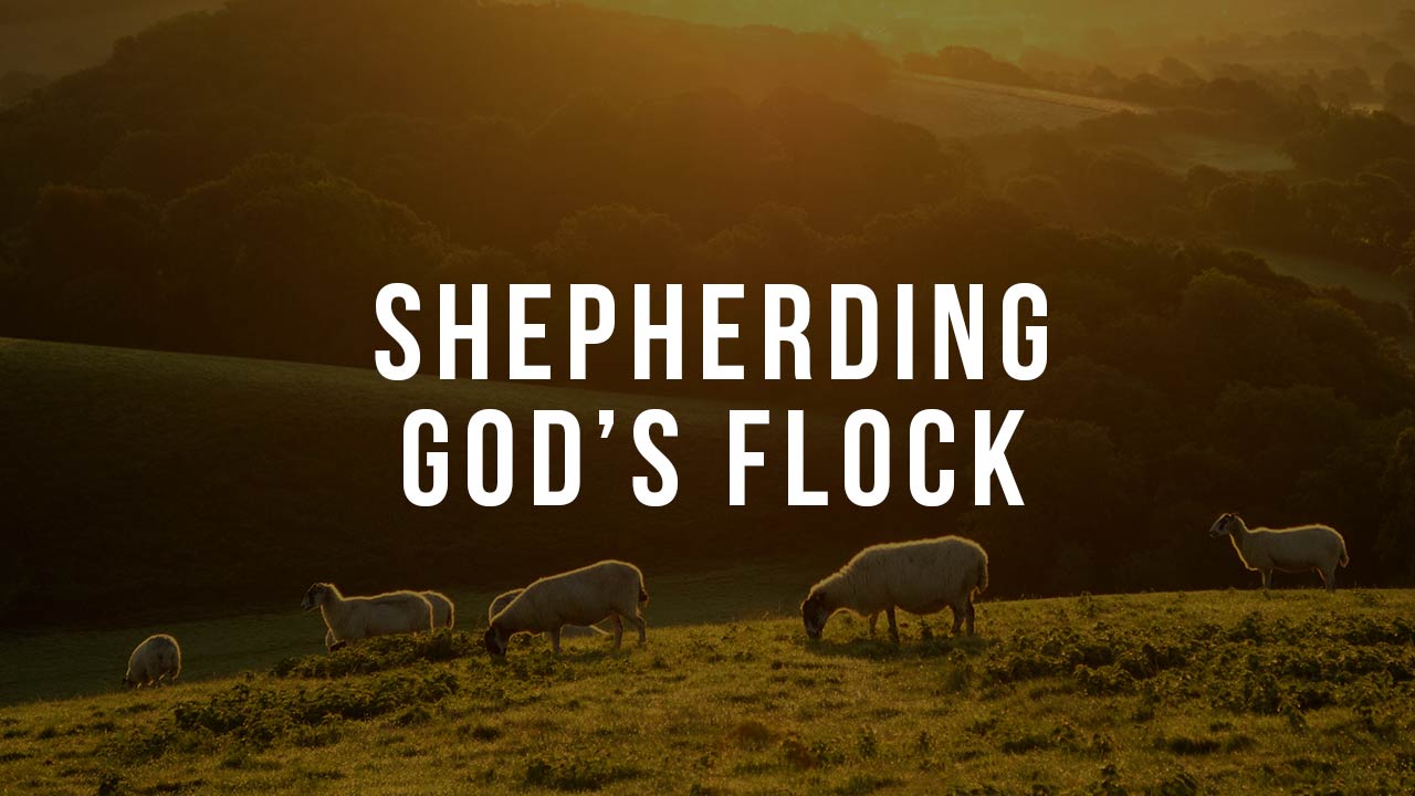 Shepherding God’s Flock The Ailbe Seminary